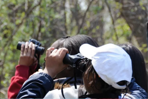A group of three black birders turn to focus their binoculars into the distance.
